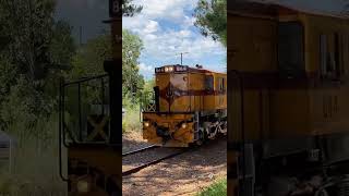 844 in Goolwa railway train train subscribe [upl. by Yenal]