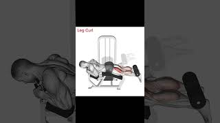 4 Effective Exercises for Hind Legs Arka Bacak Egzersizleri fitness shorts motivation [upl. by Jock555]