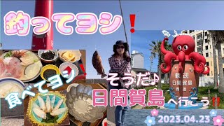 釣って食べて楽しめる日間賀島釣行🎣 20230423 [upl. by Aziar]