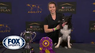 WATCH Best of 2021 Masters Agility Championships from Westminster Kennel Club  FOX SPORTS [upl. by Naujyt]