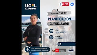 PLANIFICACIÓN CURRICULAR II [upl. by Rock]