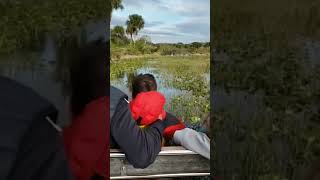 Florida Everglades Airboat Ride [upl. by Kavanaugh]