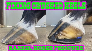 FIXING CRUSHED HEELS  Shoeing Barrel Horses for Speed [upl. by Nilo]