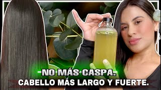 SHAMPOO CASERO PARA ELIMINAR LA CASPA dile adiós a la caspa con eucalipto ✨✨ [upl. by Enixam436]