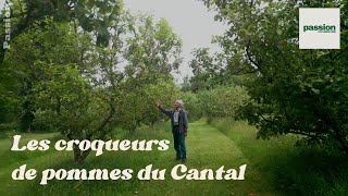 Les Croqueurs de pommes du Cantal [upl. by Nannek]