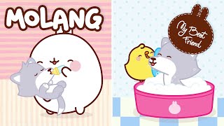 Molang amp Piu Piu  Animals Doctor  MyBestFriend [upl. by Sheng]