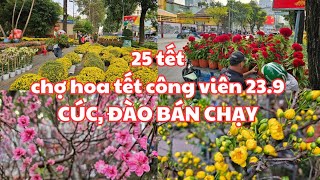 25 tết Chợ hoa tết công viên 239 quận 1 CÚC ĐÀO BÁN CHẠY Cây mai Đại Lộc ĐẸP 25 triệu đã có chủ [upl. by Hemphill]