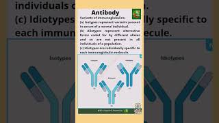 shorts biologyshorts variantsofimmunoglobulin antibody isotype allotype idiotype viralshorts [upl. by Lyn]