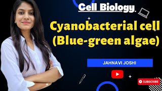 Cyanobacterial cell  Blue Green algae Notes Cell Biology [upl. by Pauline]