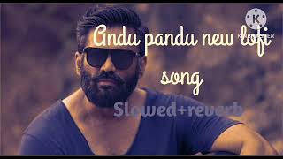 Andu pandu new lofi song slowedreverb song punjabi song mkbharti [upl. by Isteb]