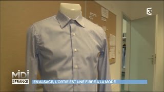 Lortie  une fibre à la mode en Alsace [upl. by Llirret]