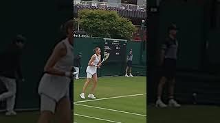 Karolína Plíšková Effortless Backhand Power tennis backhand pliskova [upl. by Swarts]