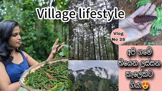 A Day In My Life  Gardening 🍃 Cooking 👩‍🍳 ගමක ගෙවන ජීවිතෙන් දවසක් sinhalavlog mydiary dayvlog [upl. by Eladnek]