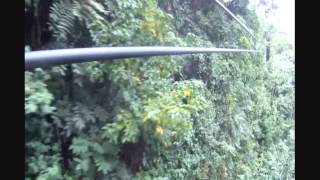 Zip Line At RoseHall Jamaica [upl. by Shayne]