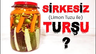 SİRKESİZ TURŞU NASIL YAPILIR │ LİMON TUZUYLA TURŞU TARİFİ │ NEFİS TARİFLER [upl. by Tebor]