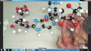 Nucleic Acids Bonds and Interactions [upl. by Feinberg830]