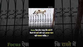 Focus Aisa Hona chahie ki Raste Meinmotivation motivational success quotes hindiRajOffecial [upl. by Ereveniug]