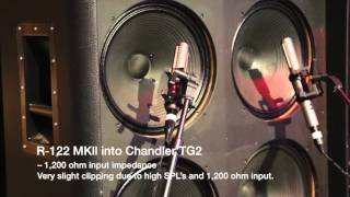 What is the difference in sound quality between the Royer R121 and Royer R122MKII [upl. by Adniral566]