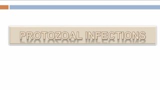 Internal medicine lec 1  Protozoal infections [upl. by Eidnahs]