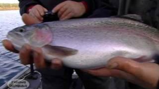 Trout action from Piprell Lake on Fishing Saskatchewan [upl. by Berkman]