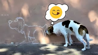 Hilarious Pet Voice Overs Your Daily Dose of Laughter and Stress Relief [upl. by Beall]