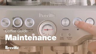 The Barista Express®  How to easily perform a clear water backflush on your machine  Breville USA [upl. by Waldos]