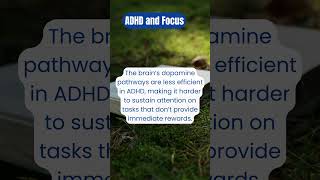 ADHD and Focus Why It’s Hard to Stay on Track [upl. by Melda]