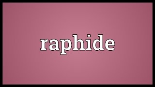 Raphide Meaning [upl. by Dam]