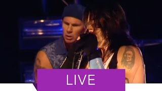 Red Hot Chili Peppers – Dani California Live in Hamburg [upl. by Uzziel]