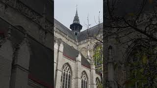 Te Deum motief Sint Martinuskerk Aalst [upl. by Atnom]