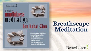 Find Peace Now Breathing Meditation Techniques With Jon KabatZinn [upl. by Philine]