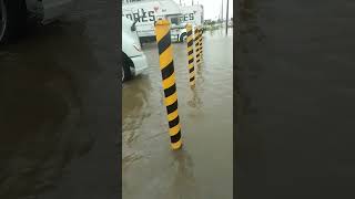 Coatzacoalcos inundado [upl. by Sucirdor]