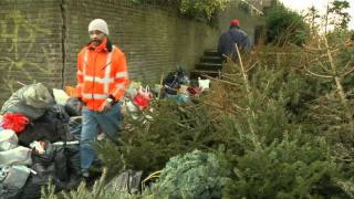 Kerstbomen inzamelen voor geld [upl. by Bertine130]