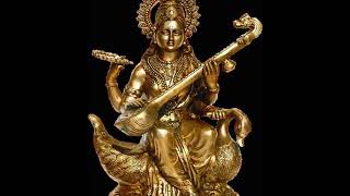 Saraswati stotro path by Sri birendra Krishna bhadra [upl. by Earahs]