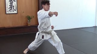 ten no kata  introduction [upl. by Aliza]