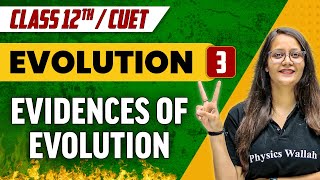 Evolution 03  Evidences Of Evolution  Class 12thCUET [upl. by Sima]