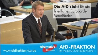 Die AfD steht für ein friedliches Europa der Vaterländer [upl. by Isyak]