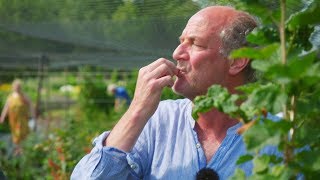 Hermus proeft het Noorden aflevering 6 Bessen plukken [upl. by Mosi]