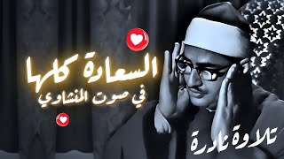 المنشاوي الذي أبكى الملايين حول العالم😭 في واحدة من أجمل تلاواته الخاشعة المؤثرة  جودة عالية HD [upl. by Formenti]