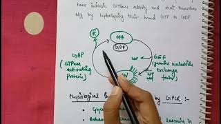 Cell signaling GPCR PATHWAY G protein coupled receptors pathway [upl. by Bruyn]