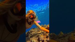 Looking for shells underwater freediver freediving oceansounds underwater asmrsounds beachlife [upl. by Fayre]