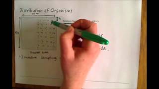 Additional Biology B2 Random Sampling With Quadrats [upl. by Nsaj]