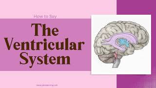 How to Say The Ventricular System In British English [upl. by Efal]