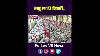 Antimicrobial Resistance Genes Detected in Poultry from Kerala and Telangana  V6 Shorts [upl. by Sylram914]