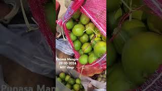 Punasa Mangos Aam Rasalu Mamide bowenpally market shortvideo trendingvideos vlogviralreelsfood [upl. by Travis]