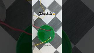 Electrolysis Reaction 😳 scinceexperiment educationalvideo experimentvideos [upl. by Marji]