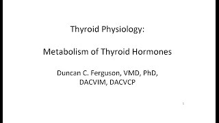 Thyroid Hormone Physiology Thyroid Hormone Metabolism [upl. by Adgam528]