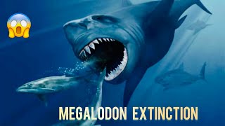 Megalodon Extinction Unraveling the Mystery [upl. by Stephine743]