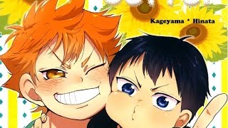 Kagehina Doujinshi  A Little Setter English [upl. by Twedy702]