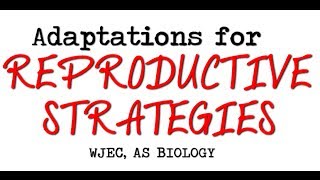 WJEC AS BIOLOGY REVISION BY2  Adaptations For Reproductive Strategies [upl. by Ajiat464]